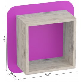 Полка Скаут