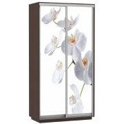 белая орхидея / венге