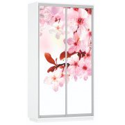 сакура / белый снег