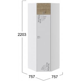 Шкаф угловой ТД-139.07.23