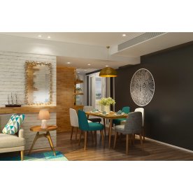 Зеркало Ящерицы V20013