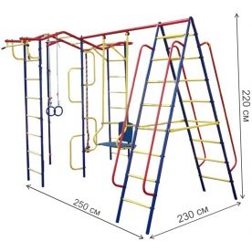 Детский спортивный комплекс Пионер - Вираж дачный плюс