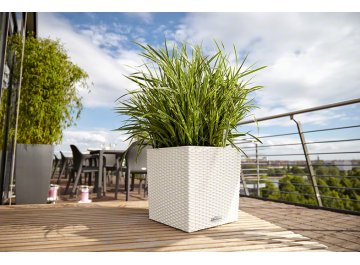 Кашпо Lechuza 15372 CUBE Cottage 30 Гранит