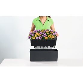 Кашпо Lechuza 15672 BALCONERA Color 50 фисташковый