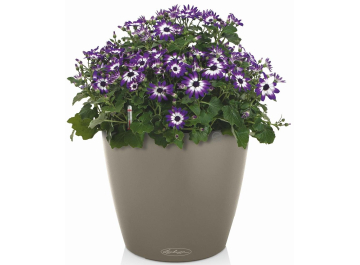 Кашпо Классико Колор 18 13264