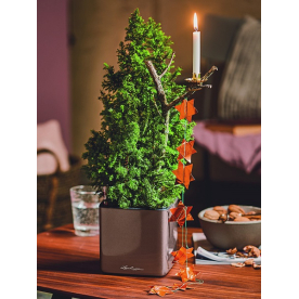 Кашпо Кьюб Глосси 14 13518