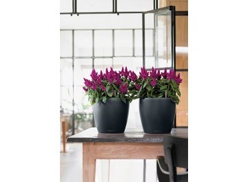 Кашпо Lechuza 13170 CLASSICO Color 21