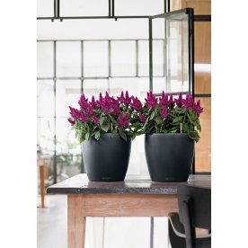 Кашпо Lechuza 13184 CLASSICO Color 21