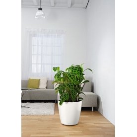 Кашпо Lechuza 13243 CLASSICO Color 43