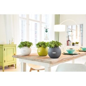 Кашпо Lechuza 13364 LECHUZA-PURO Color 20