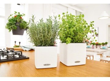 Кашпо Lechuza 13380 CUBE Color 14