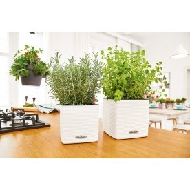 Кашпо Lechuza 13384 CUBE Color 14