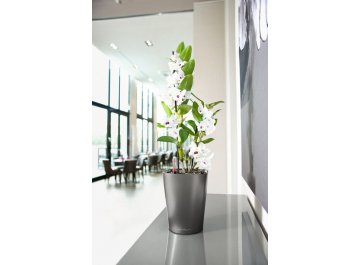 Кашпо Lechuza 14900 DELTINI