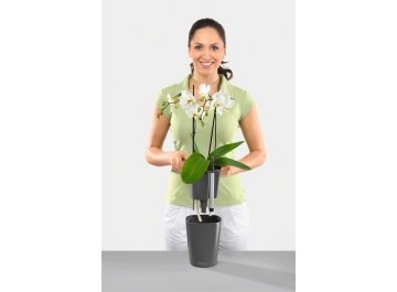 Кашпо Lechuza 14904 DELTINI