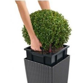 Кашпо Lechuza 15380 CUBE Cottage 40