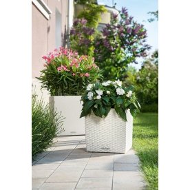 Кашпо Lechuza 15382 CUBE Cottage 40