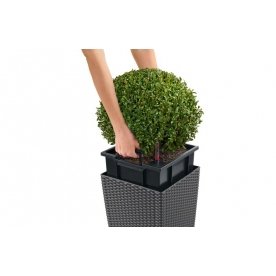 Кашпо Lechuza 15385 CUBE Cottage 40