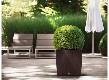 Кашпо Lechuza 15392 CUBE Cottage 50