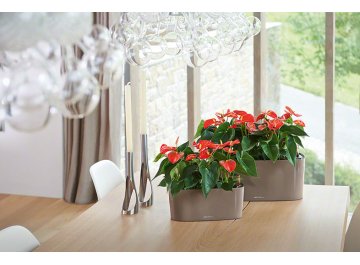 Кашпо Lechuza 15460 DELTA 10