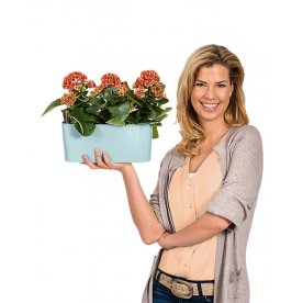 Кашпо Lechuza 15466 DELTA 10