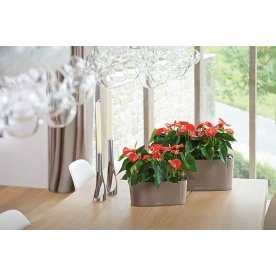 Кашпо Lechuza 15467 DELTA 10