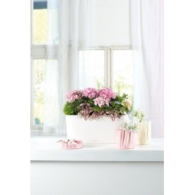 Кашпо Lechuza 15577 DELTA 20