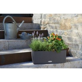 Кашпо Lechuza 15600 BALCONERA Cottage 50