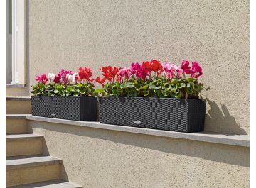 Кашпо Lechuza 15615 BALCONERA Cottage 80