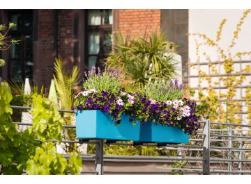 Кашпо Lechuza 15674 BALCONERA Color 50