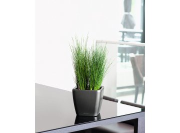 Кашпо Lechuza 16147 QUADRO LS 28