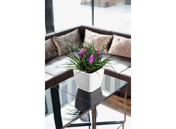 Кашпо Lechuza 16165 QUADRO LS 35