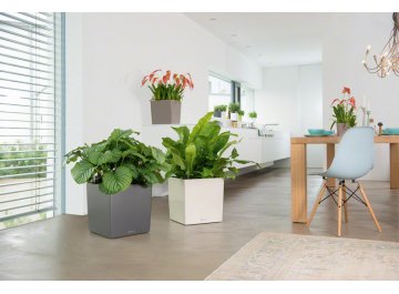 Кашпо Lechuza 16360 CUBE 40