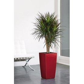 Кашпо Lechuza 18182 CUBICO 30