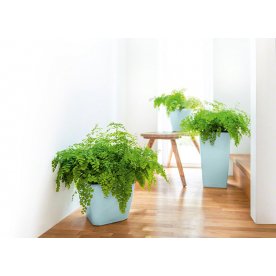 Кашпо Lechuza 18477 CUBICO 22