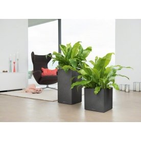 Кашпо Канто Стоун 30 колон