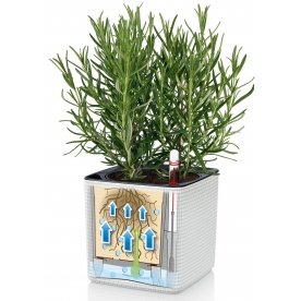 Кашпо Кьюб Колор 16