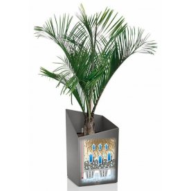 Кашпо Курсиво 30