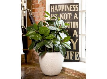 Кашпо Лотус Круглое D44 H43.5 MESHR44-AW