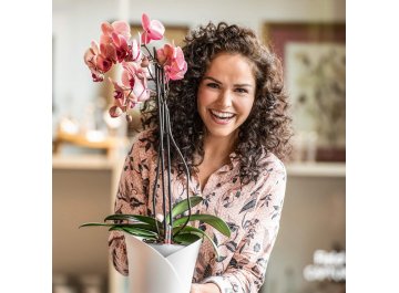 Кашпо Орхидея