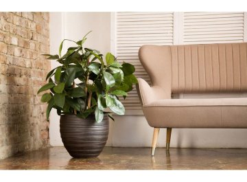 Кашпо Роу Круглое D27 H25.5 ROWR27-B