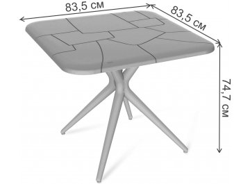 Обеденный комплект из пластика SHT-DS209