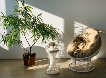 Деревянный стол Бонго макси 0,26 м