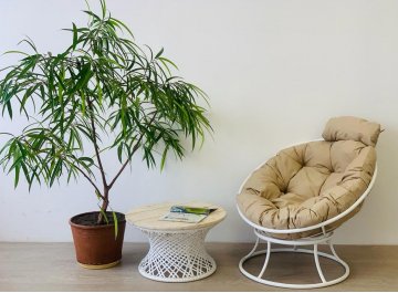 Деревянный стол Бонго мини