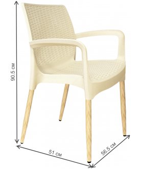Пластиковый стул SHT-S68/S424-С