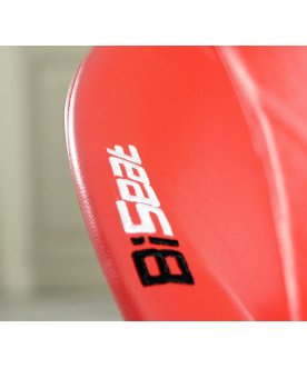 Компьютерное кресло детское Biseat