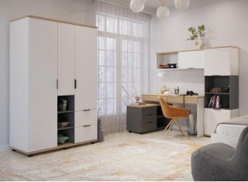 Шкаф распашной Скайлайт СЛ-3К блэквуд ячменный / графит / белый / меренга