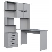 шиншилла серая