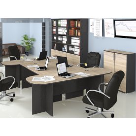 Письменный стол Успех-2 ПМ-184.03