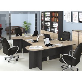 Письменный стол Успех-2 ПМ-184.02