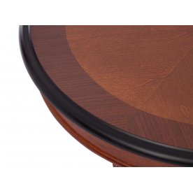 Стол журнальный Аглаонема